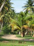 Balneario Punta Santiago - HUMACAO